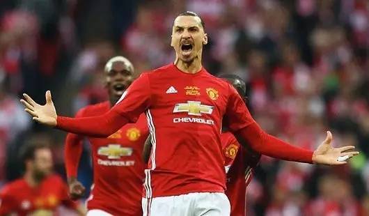 果和专业性 果和专业性