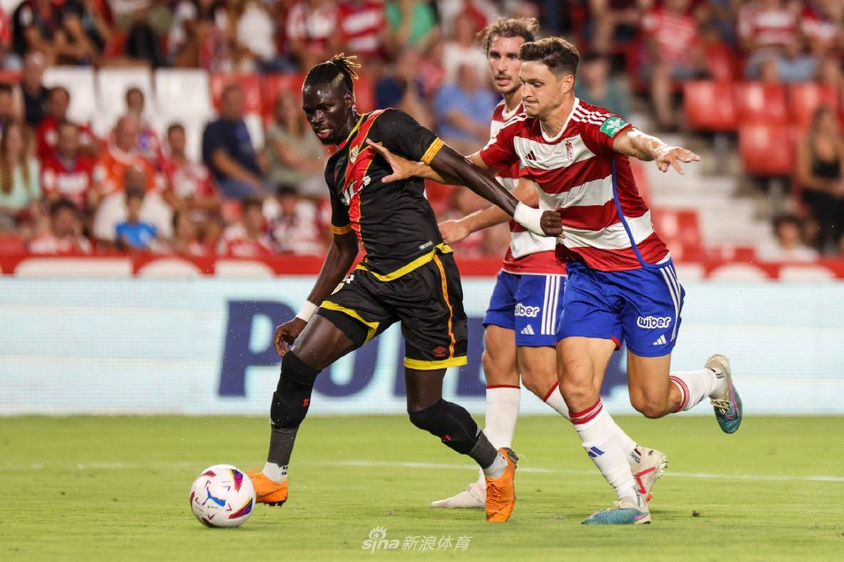 他们不仅要 他们不仅要